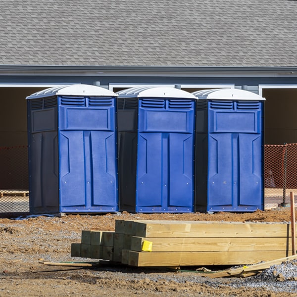 how can i report damages or issues with the porta potties during my rental period in Black River